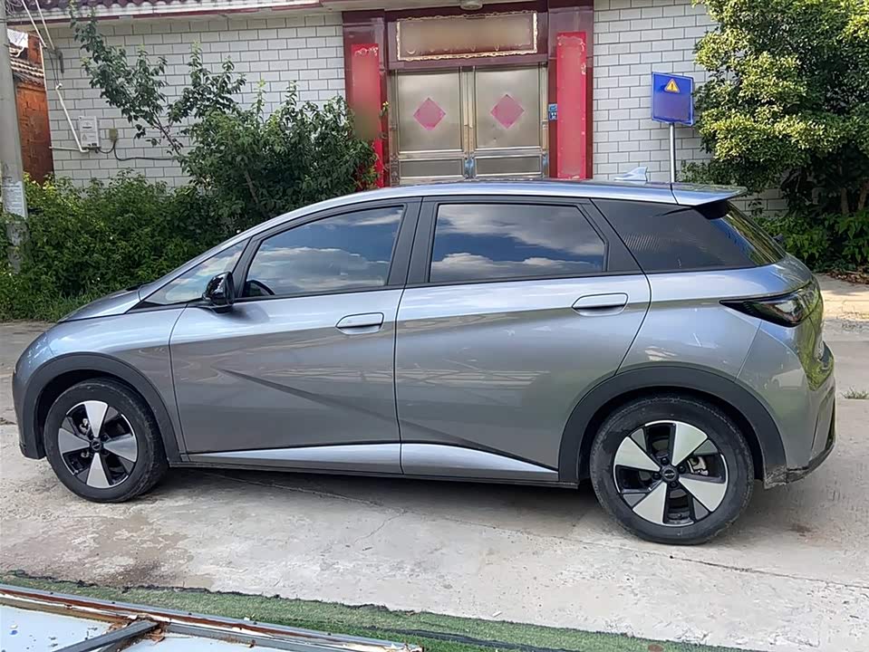 BYD dolphin BYD dolphin