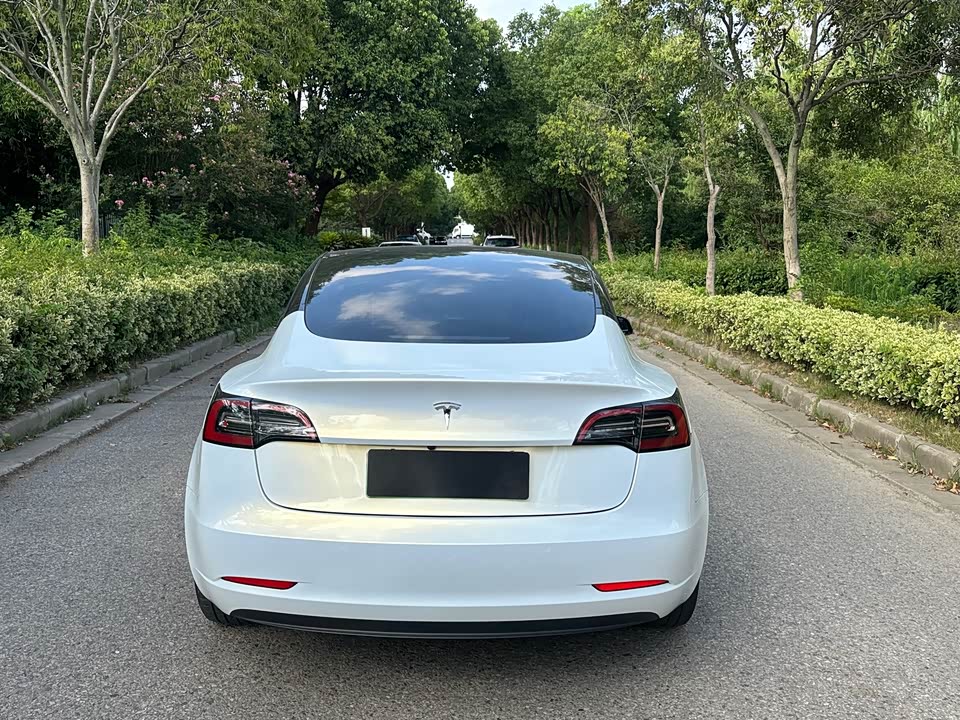 Tesla Model 3 Tesla Model 3