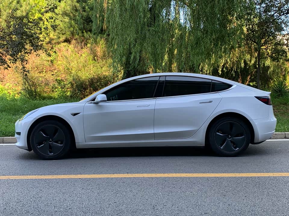 Tesla Model 3 Tesla Model 3