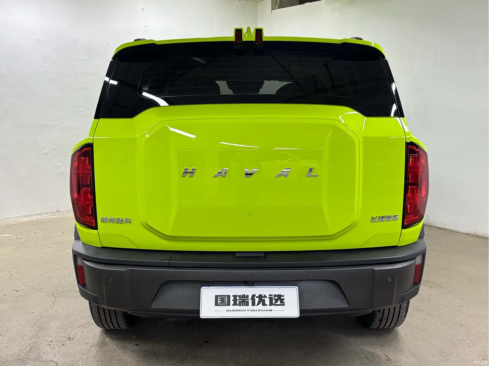 Haval Cool Dog, 2022 6