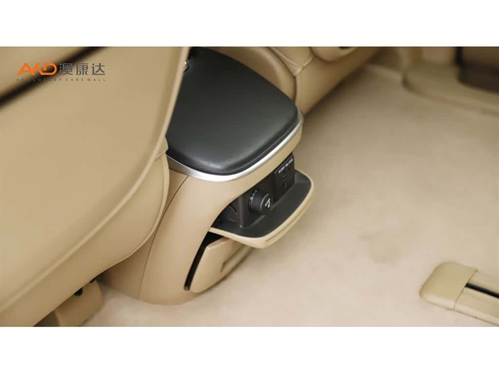 Buick GL8, 2020 10