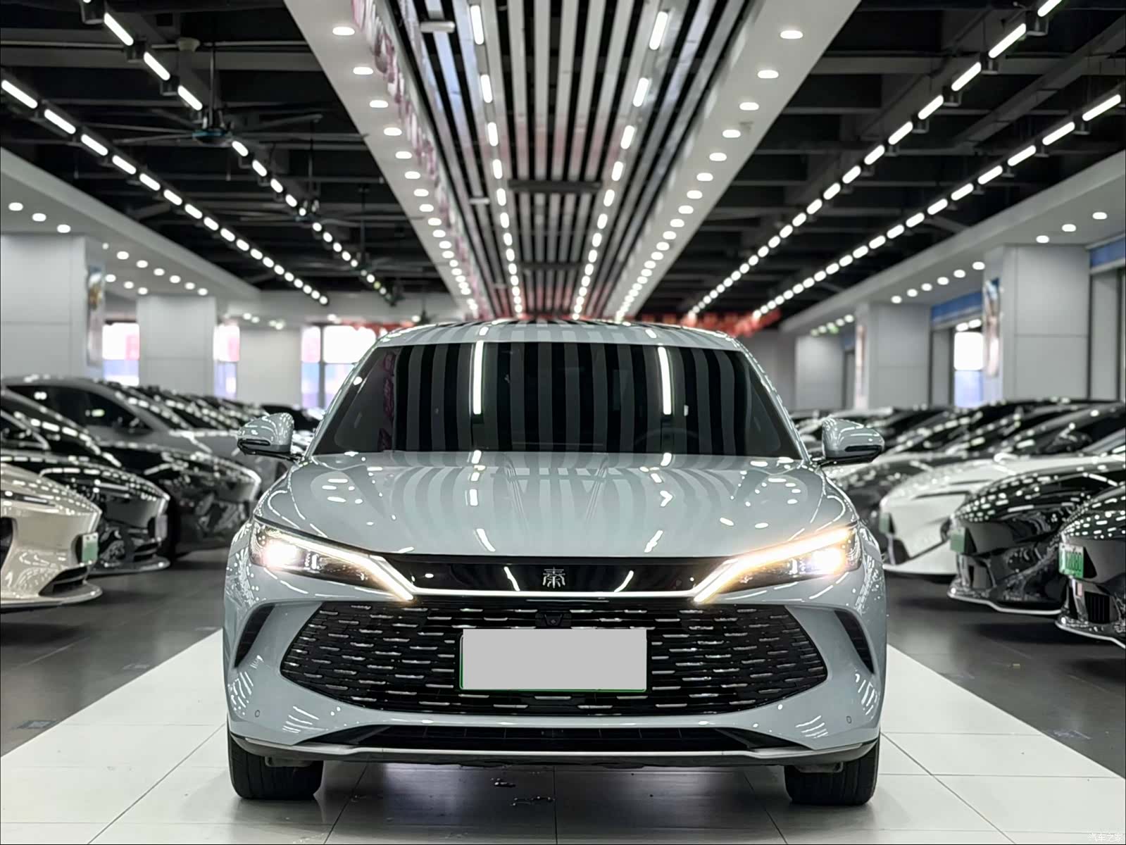 BYD Qin, 2025 2
