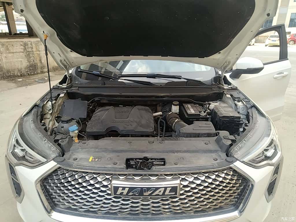 Haval First Love, 2021 20