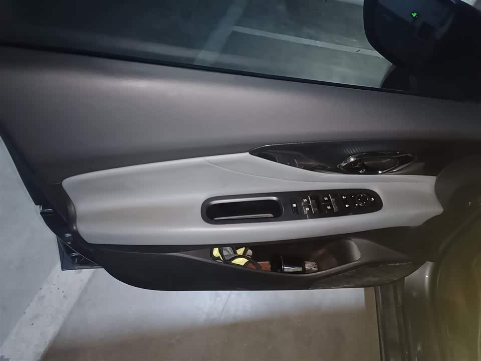 Trumpchi Shadow Leopard