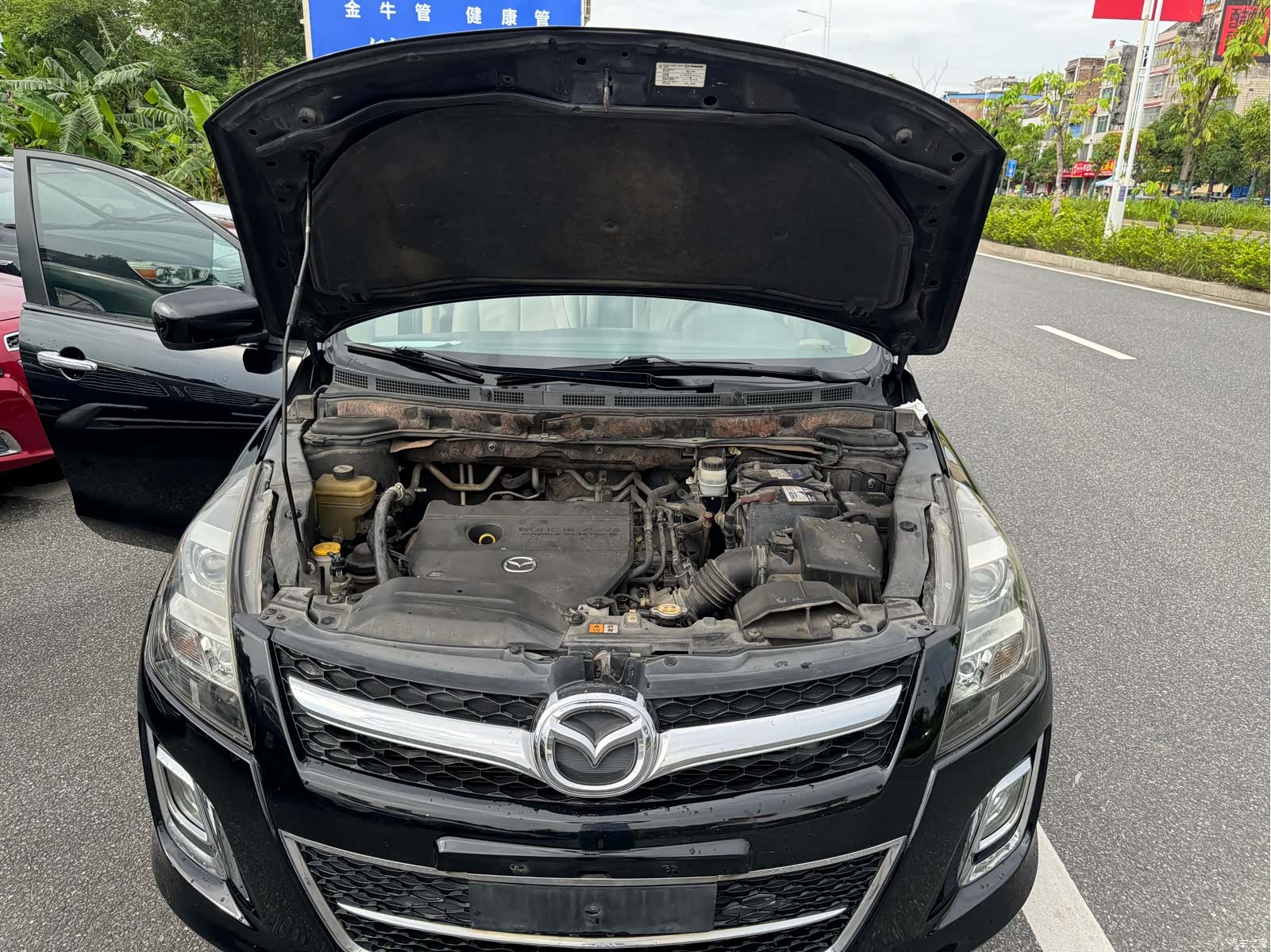 Mazda 8, 2012 12