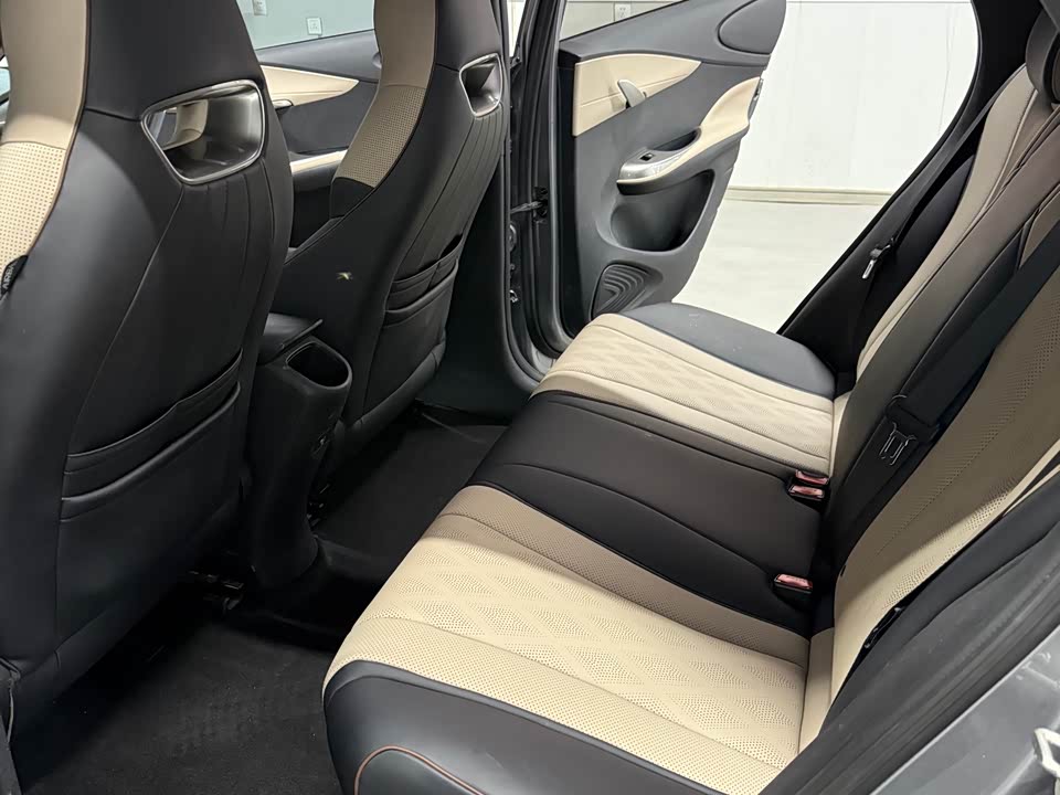 BYD dolphin