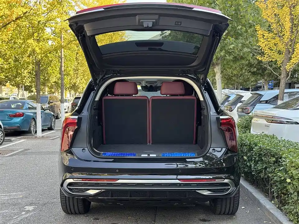 Hongqi E-HS9