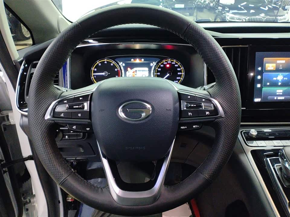 Trumpchi Trumpchi M8