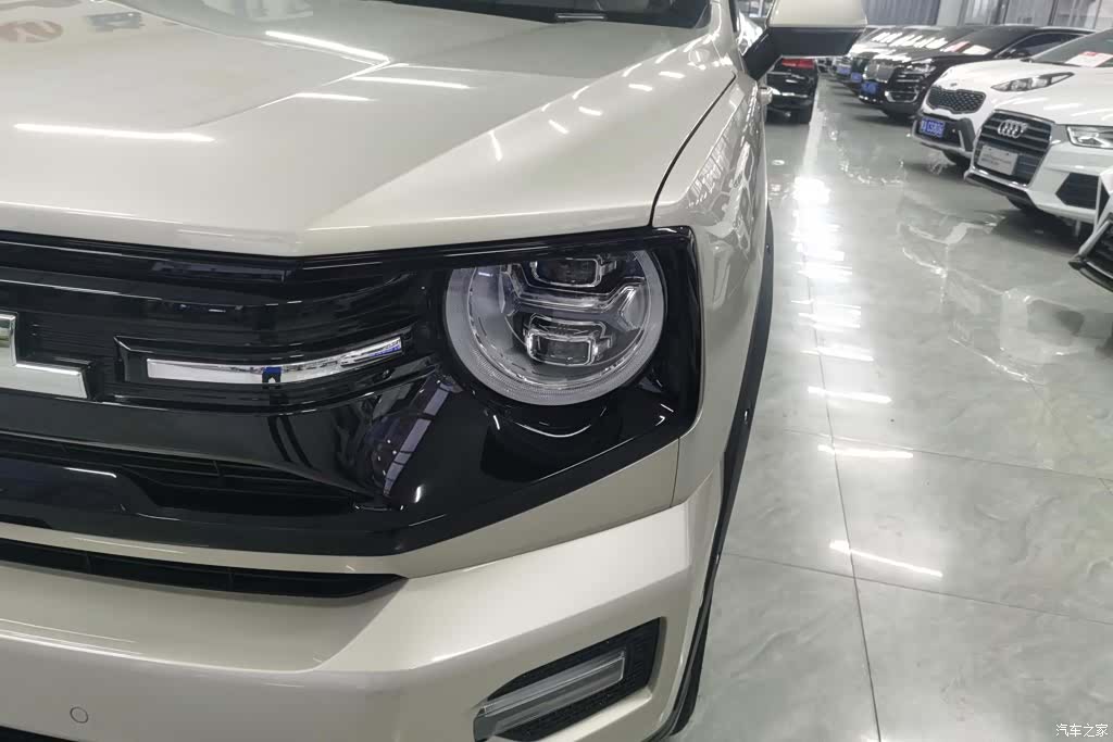 Haval Big Dog, 2025 все фото