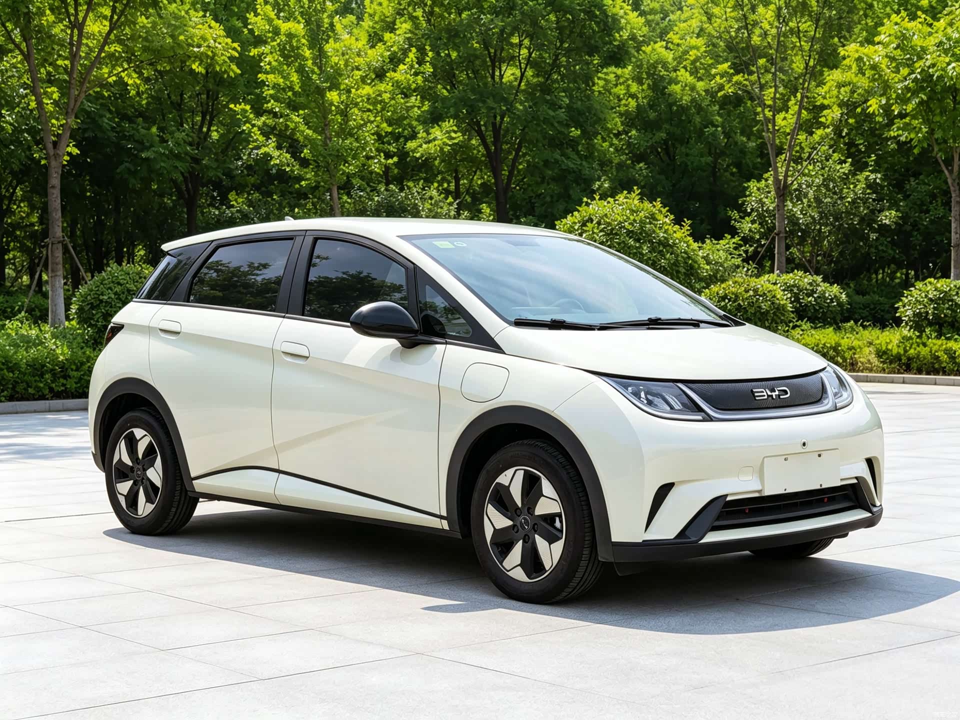 BYD Dolphin, 2025 8