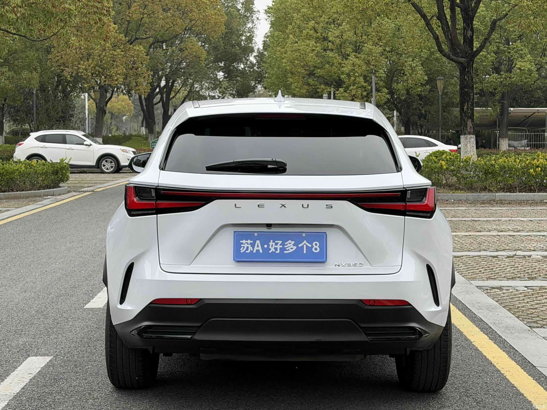 Lexus NX, 2022 все фото