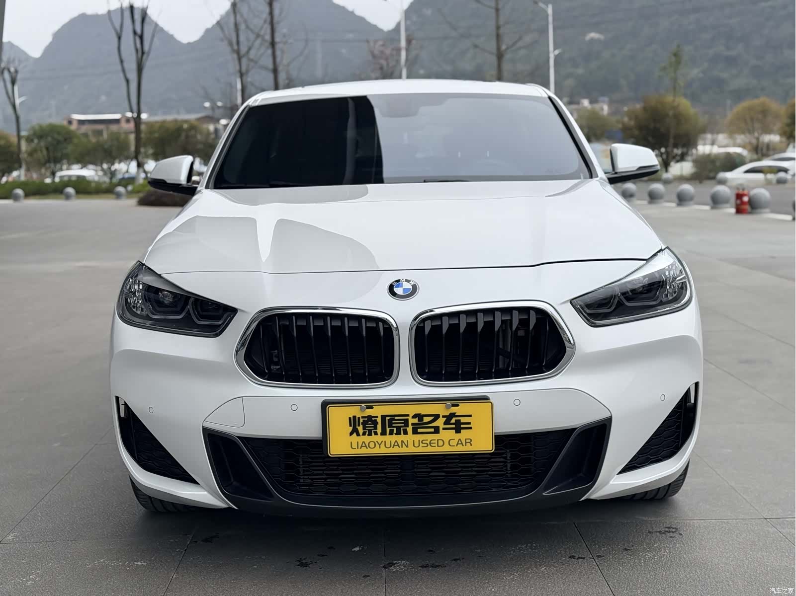 BMW X2, 2020 2