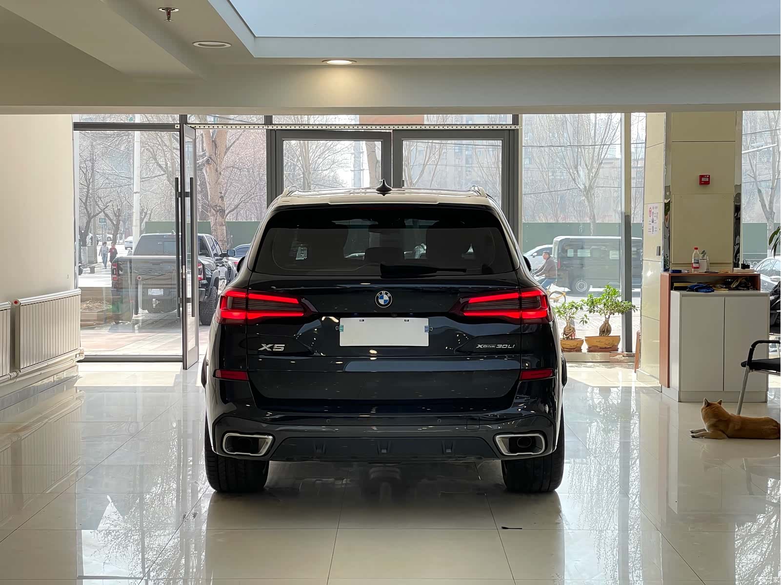 BMW X5, 2023 все фото