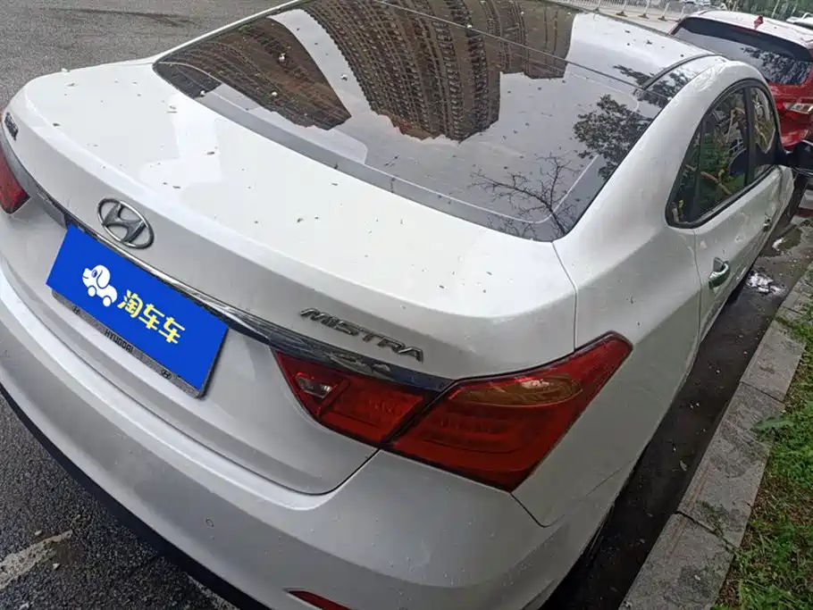 Hyundai Name picture