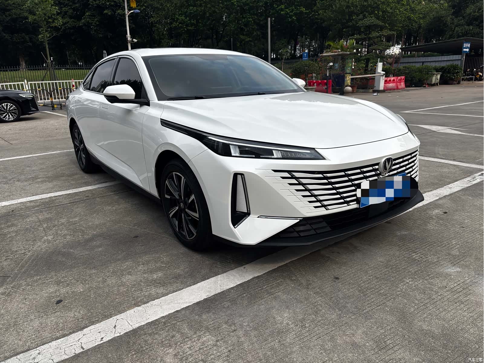 Changan Eado, 2025 3
