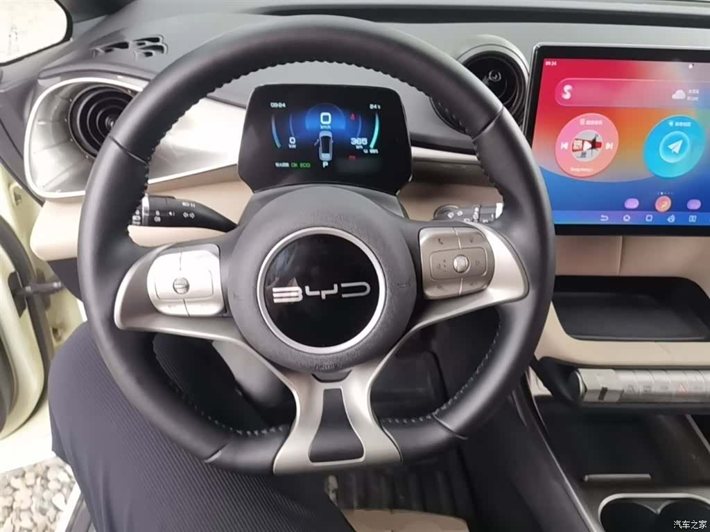 BYD Dolphin, 2023 11