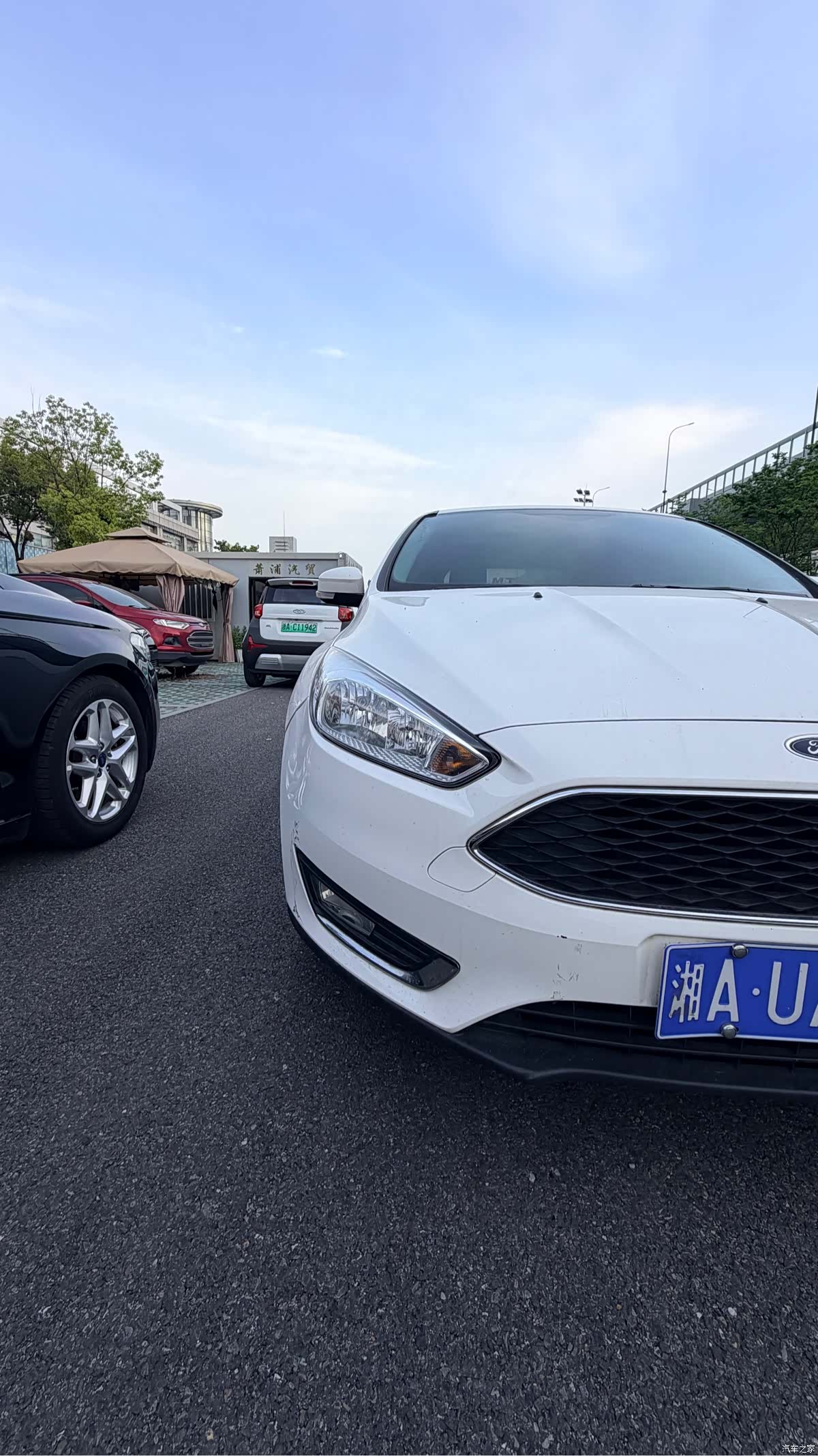 Ford Focus, 2016 все фото