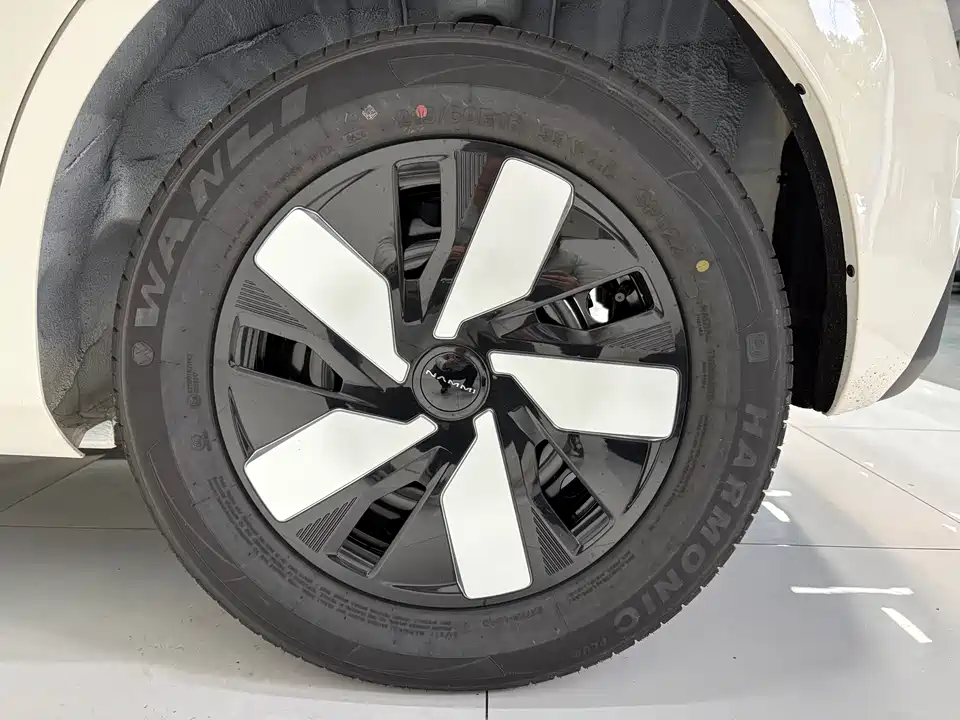 Dongfeng Nammi Nano 01