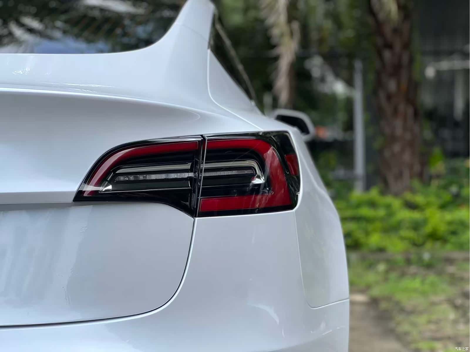 Tesla Model 3, 2019 8
