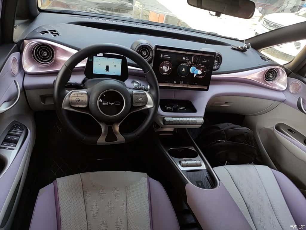 BYD Dolphin, 2024 6
