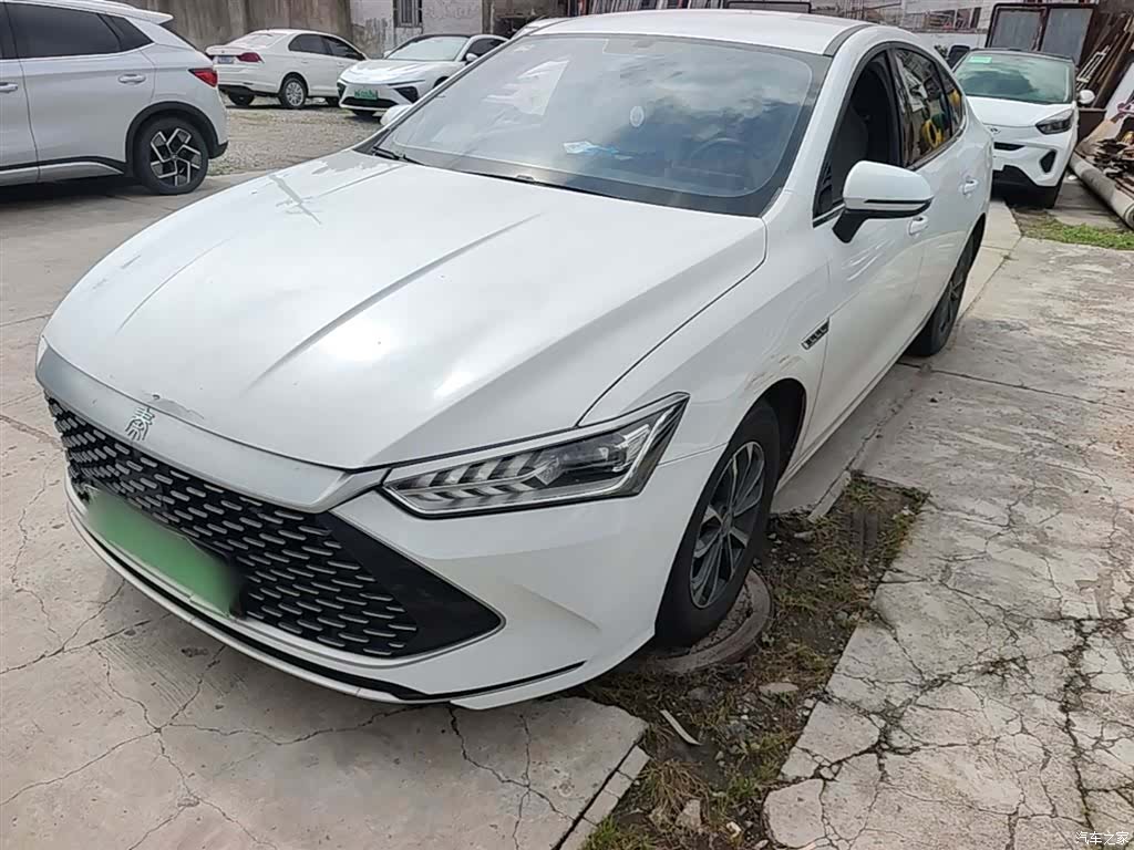 BYD Qin, 2024 1