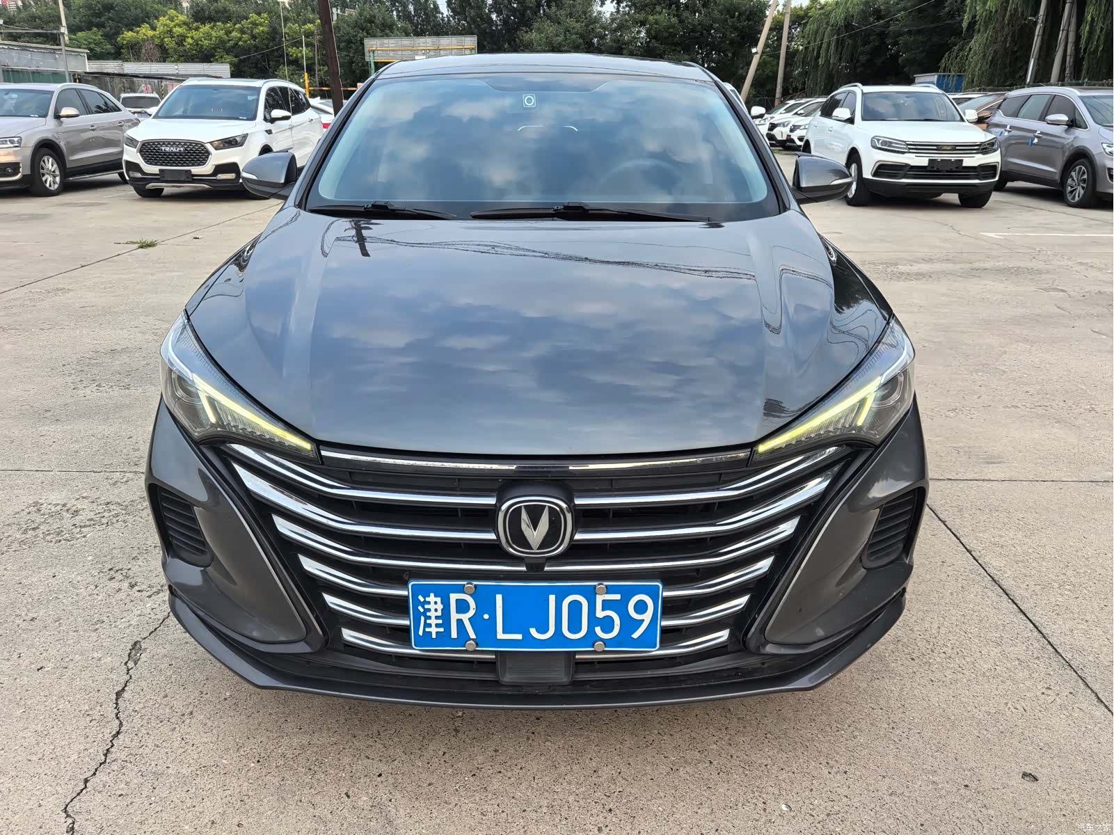 Changan Eado, 2021 2