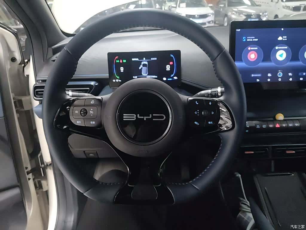 BYD Seagull, 2024 11