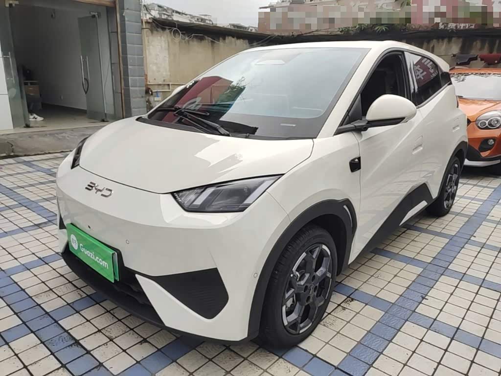 BYD Seagull