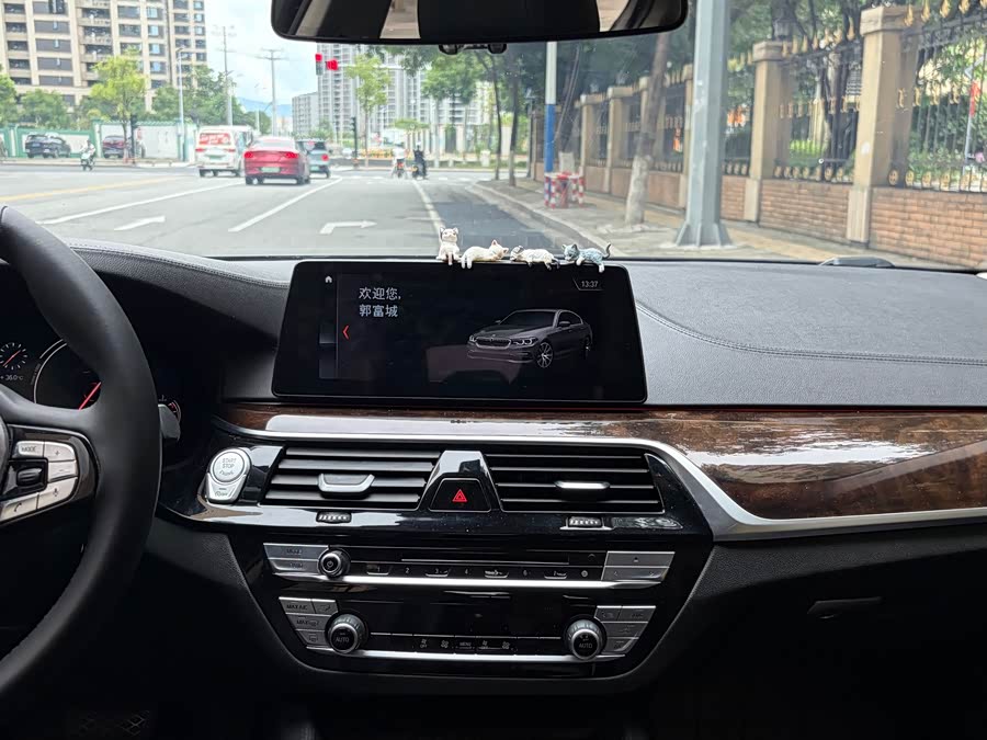 BMW 5 Series 2018, фото 20