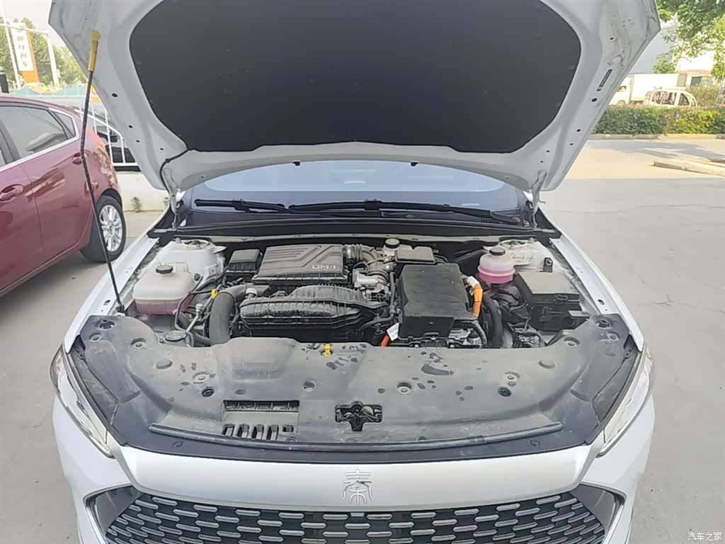 BYD Qin, 2024 20