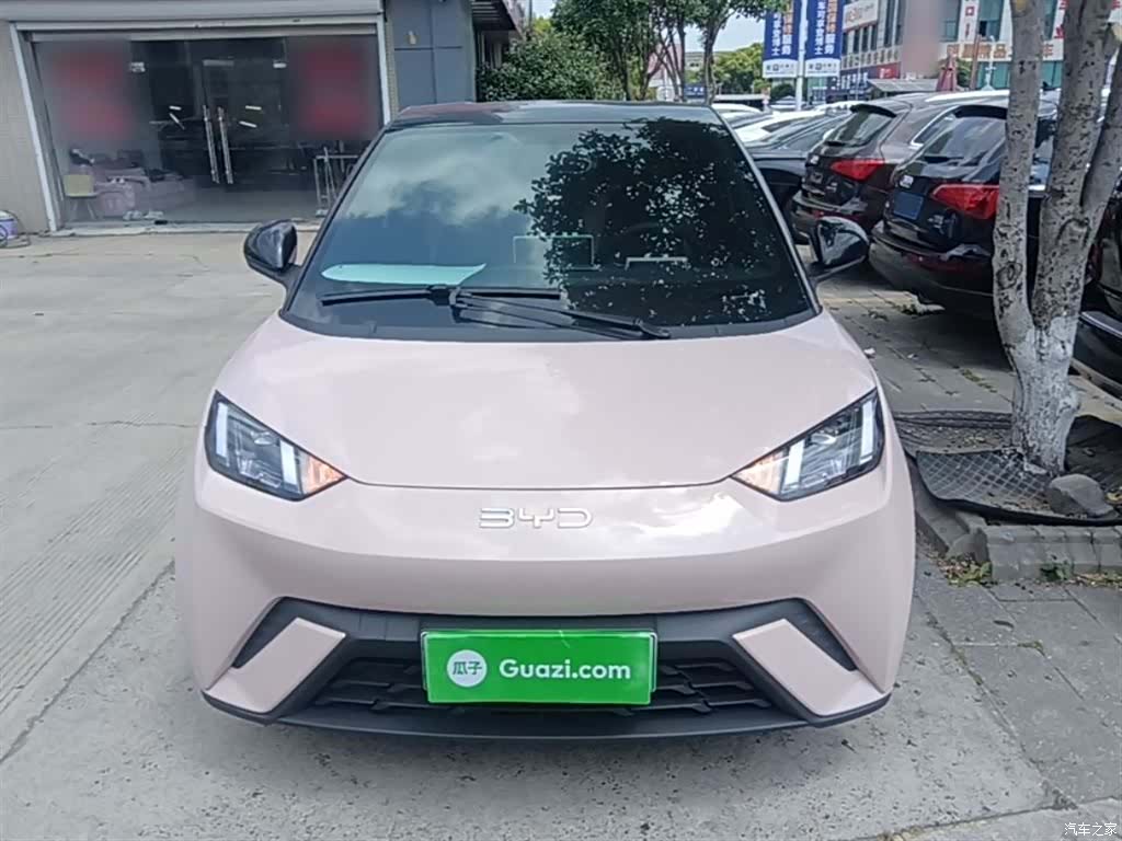 BYD Seagull, 2024 3