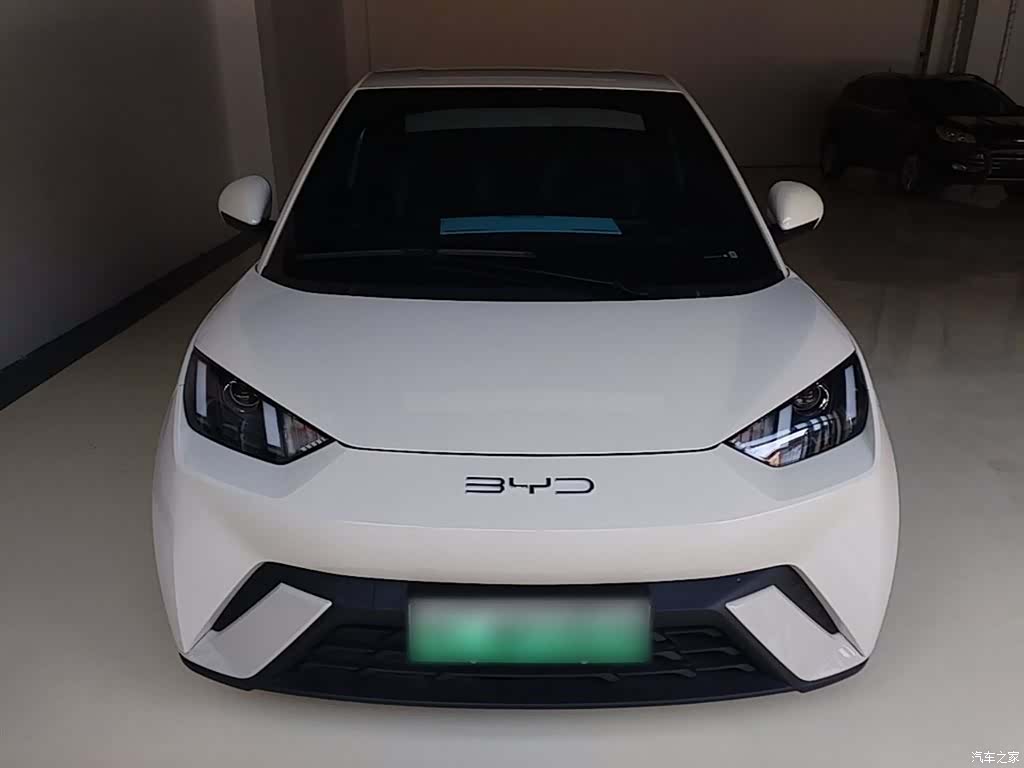 BYD Seagull, 2024 3