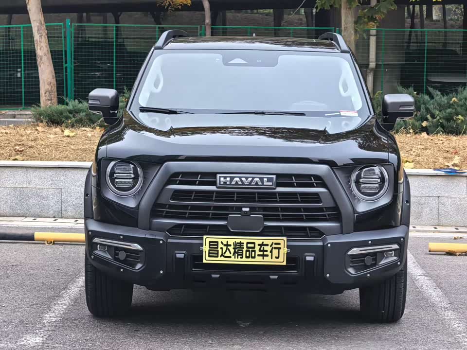 Haval Big dog