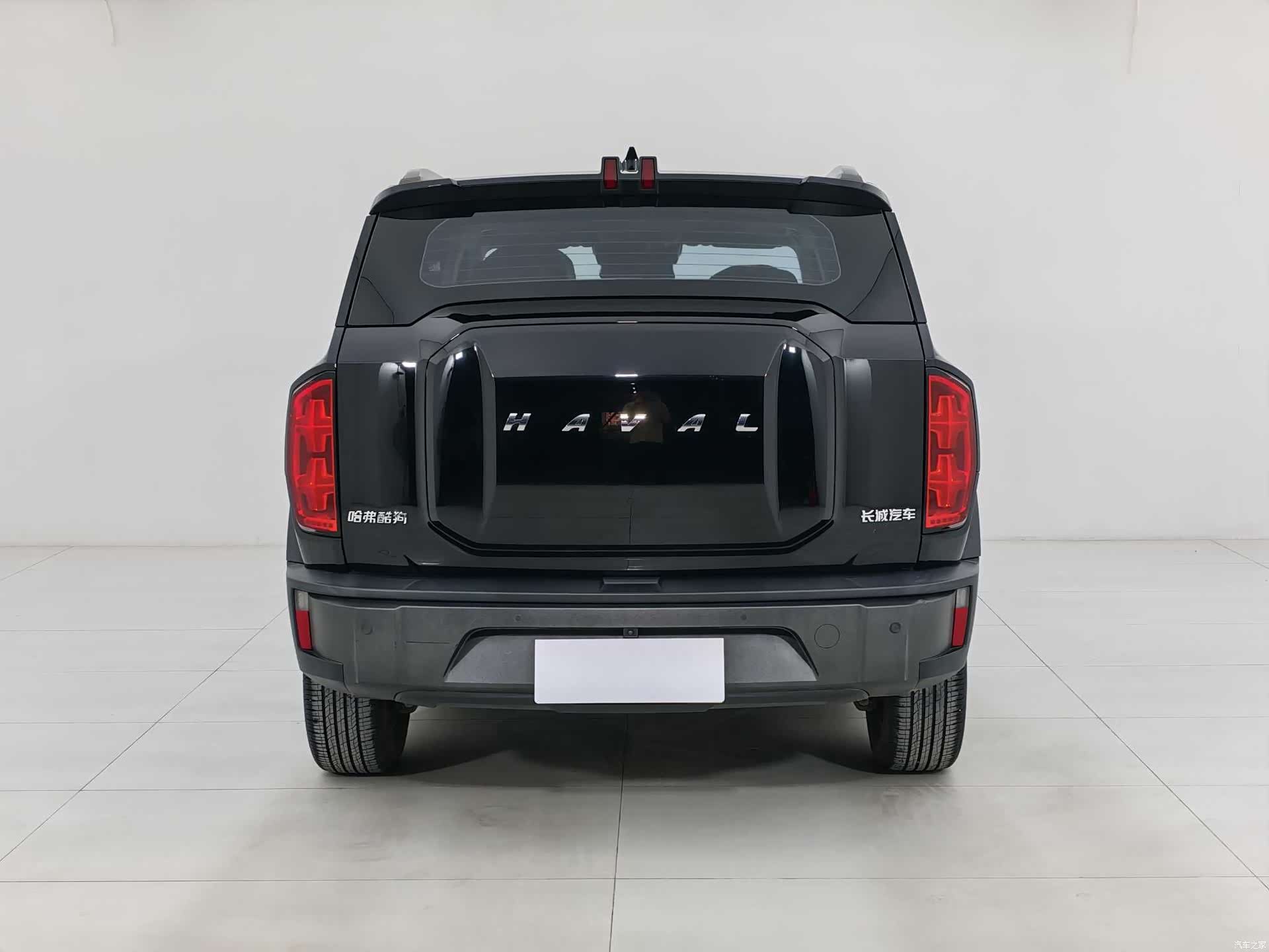 Haval Cool Dog, 2022 все фото