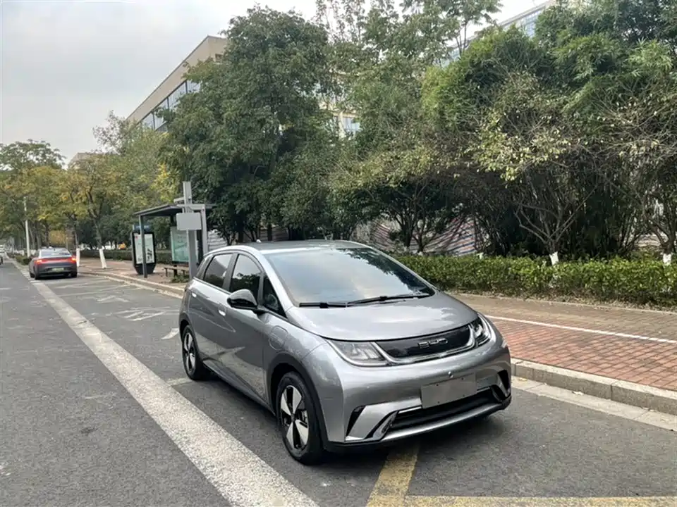 BYD dolphin
