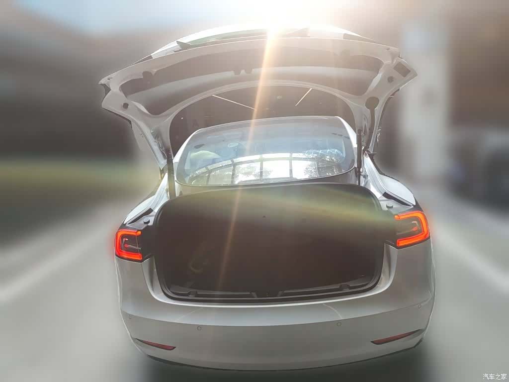 Tesla Model 3, 2021 10