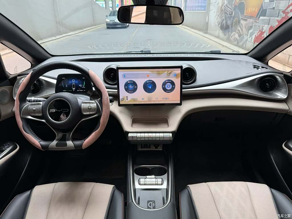 BYD Dolphin, 2024 13