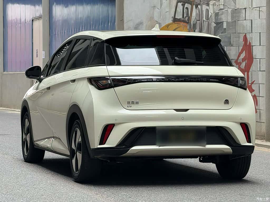 BYD Dolphin, 2024 25