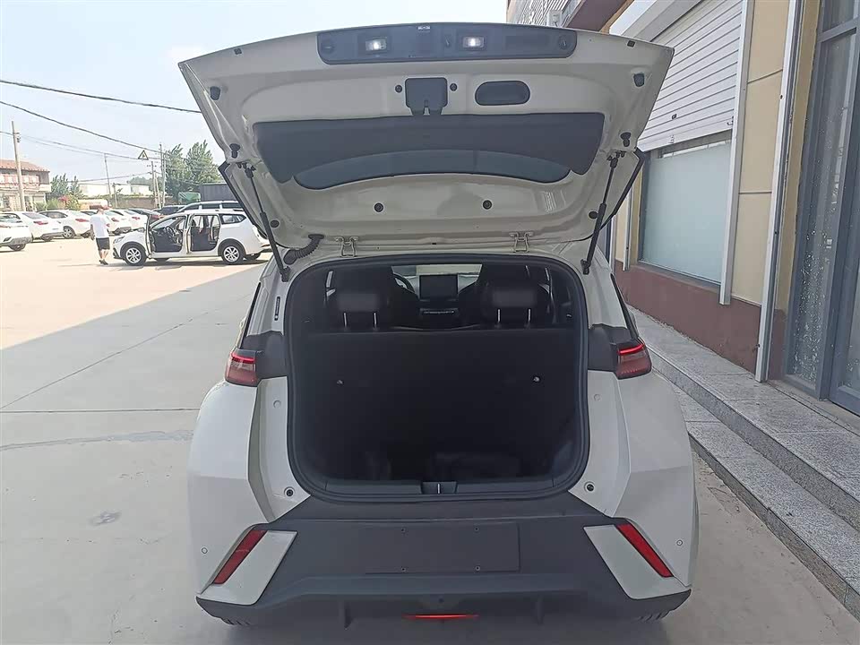 BYD Seagull BYD Seagull