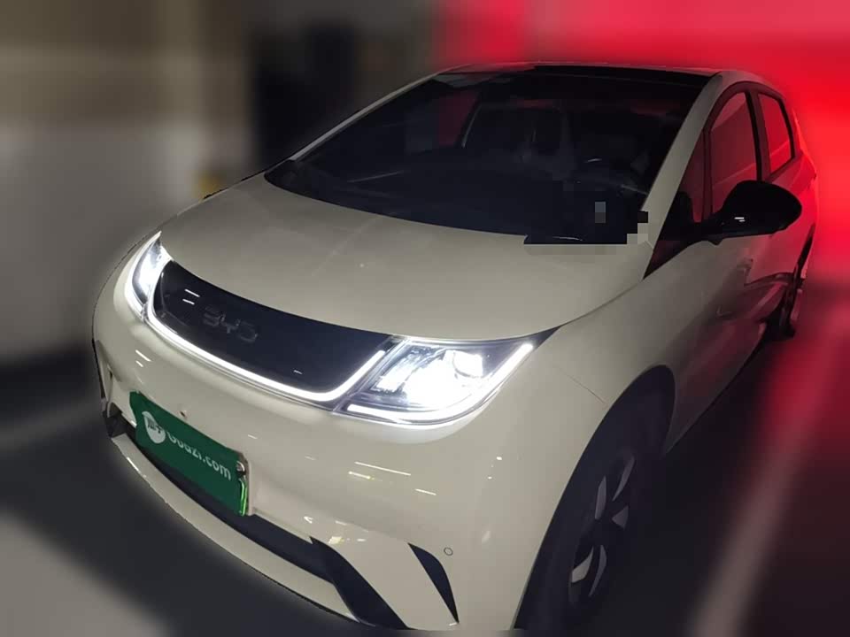 BYD dolphin