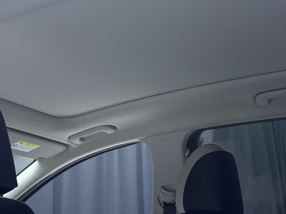 Kia Lion Platinum expands the world