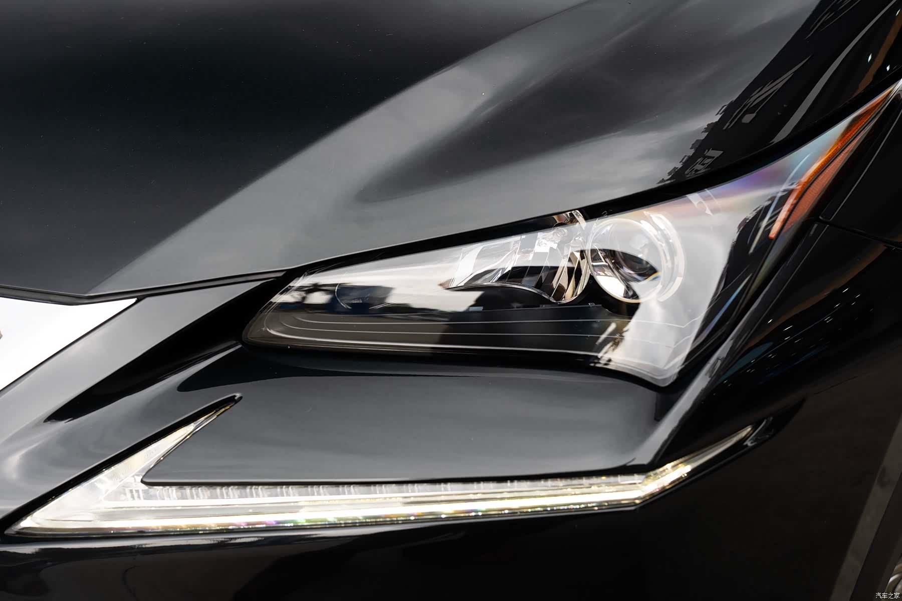 Lexus NX, 2016 все фото