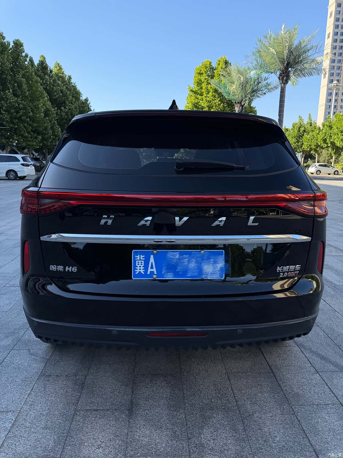 Haval H6, 2023 все фото