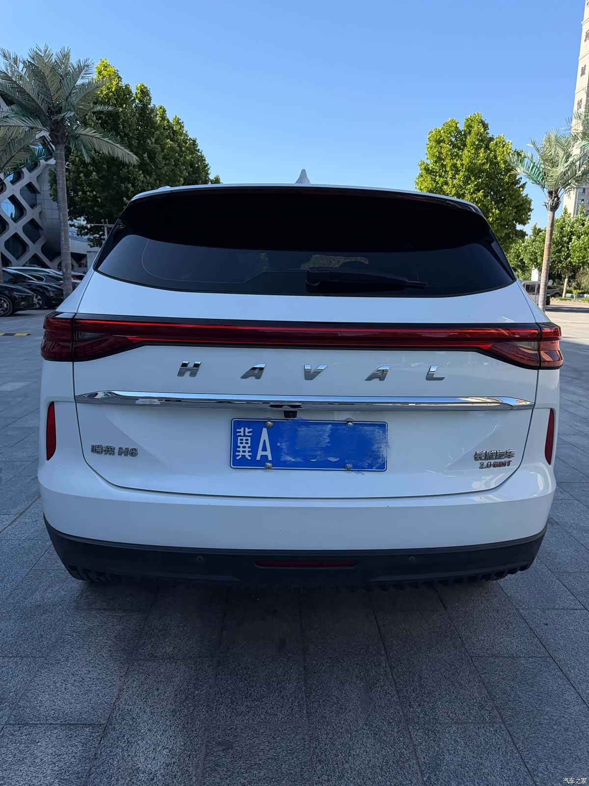 Haval H6, 2023 все фото