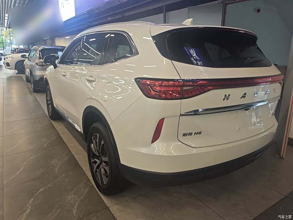 Haval H6, 2022 все фото