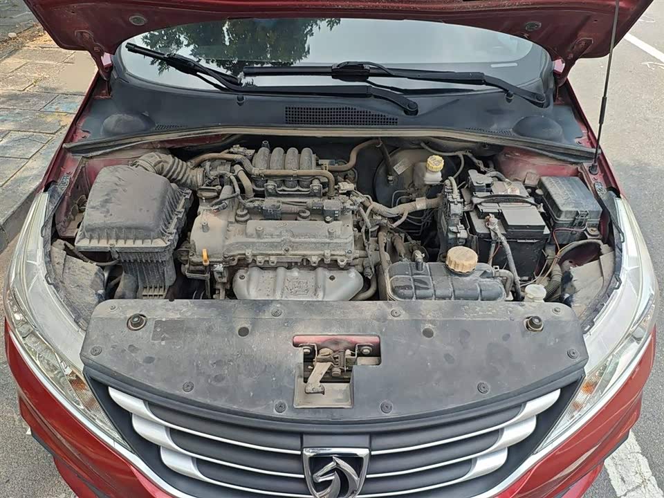 Baoding 310W