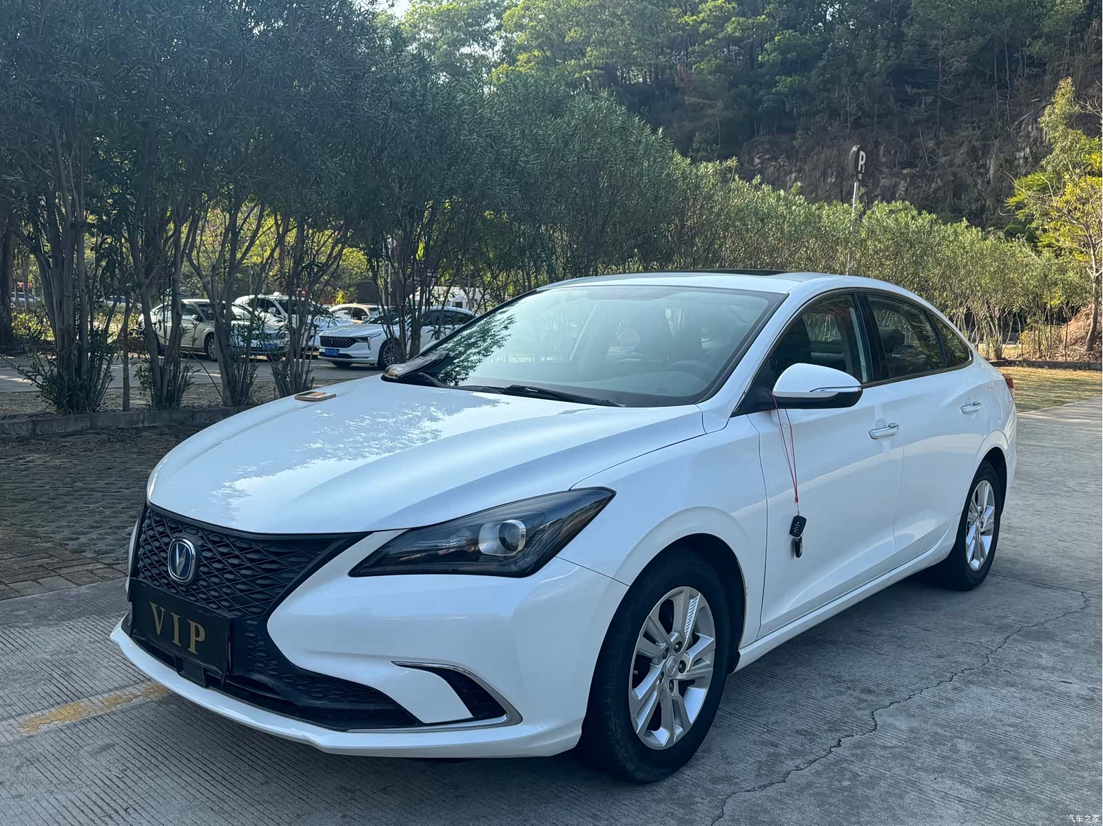 Changan Eado, 2020 1