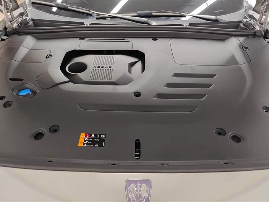 Roewe RX5 New energy