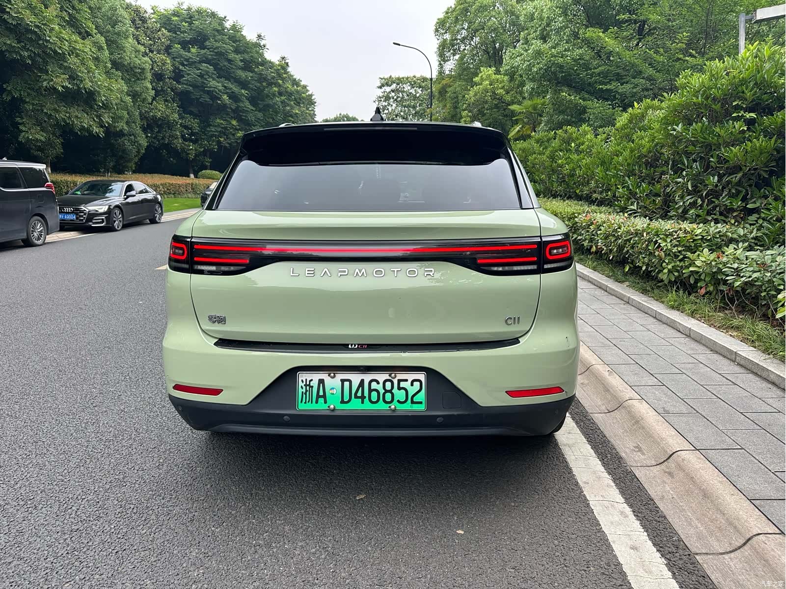 Leapmotor C11, 2022 все фото
