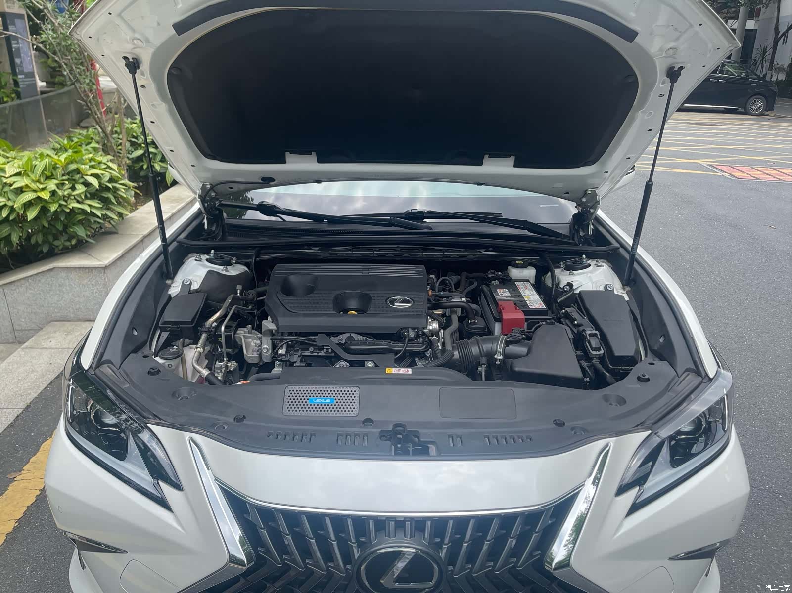 Lexus ES, 2024 22